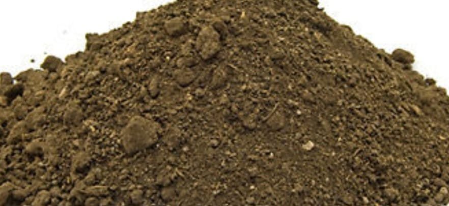Cow dung manure Rs 15/ kg