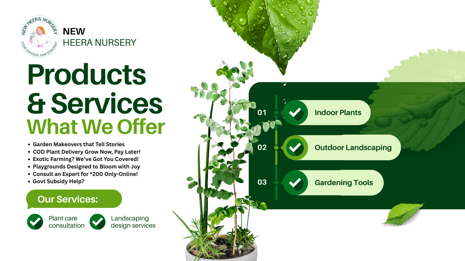 new heera nursery (2)